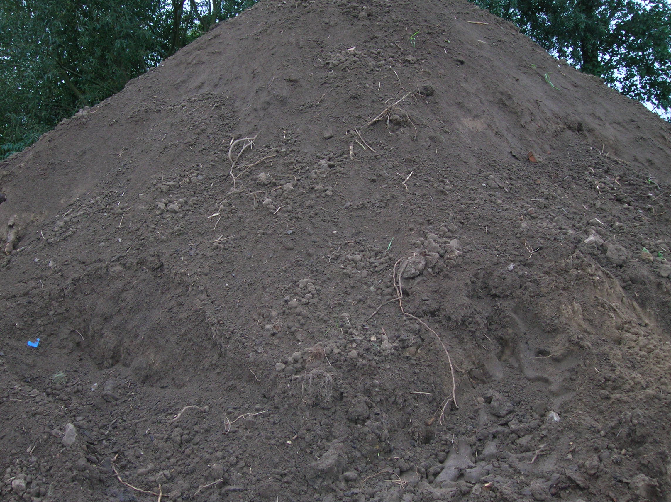 Kupa ciemnej ziemi ogrodowej z korzeniami i gałązkami, widoczne ślady opon i mały niebieski fragment plastiku.